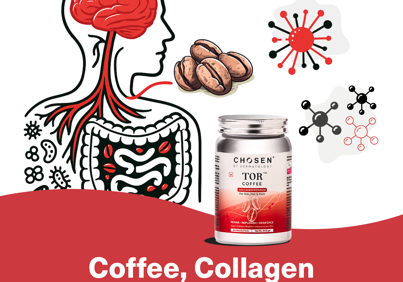 gut brain axis