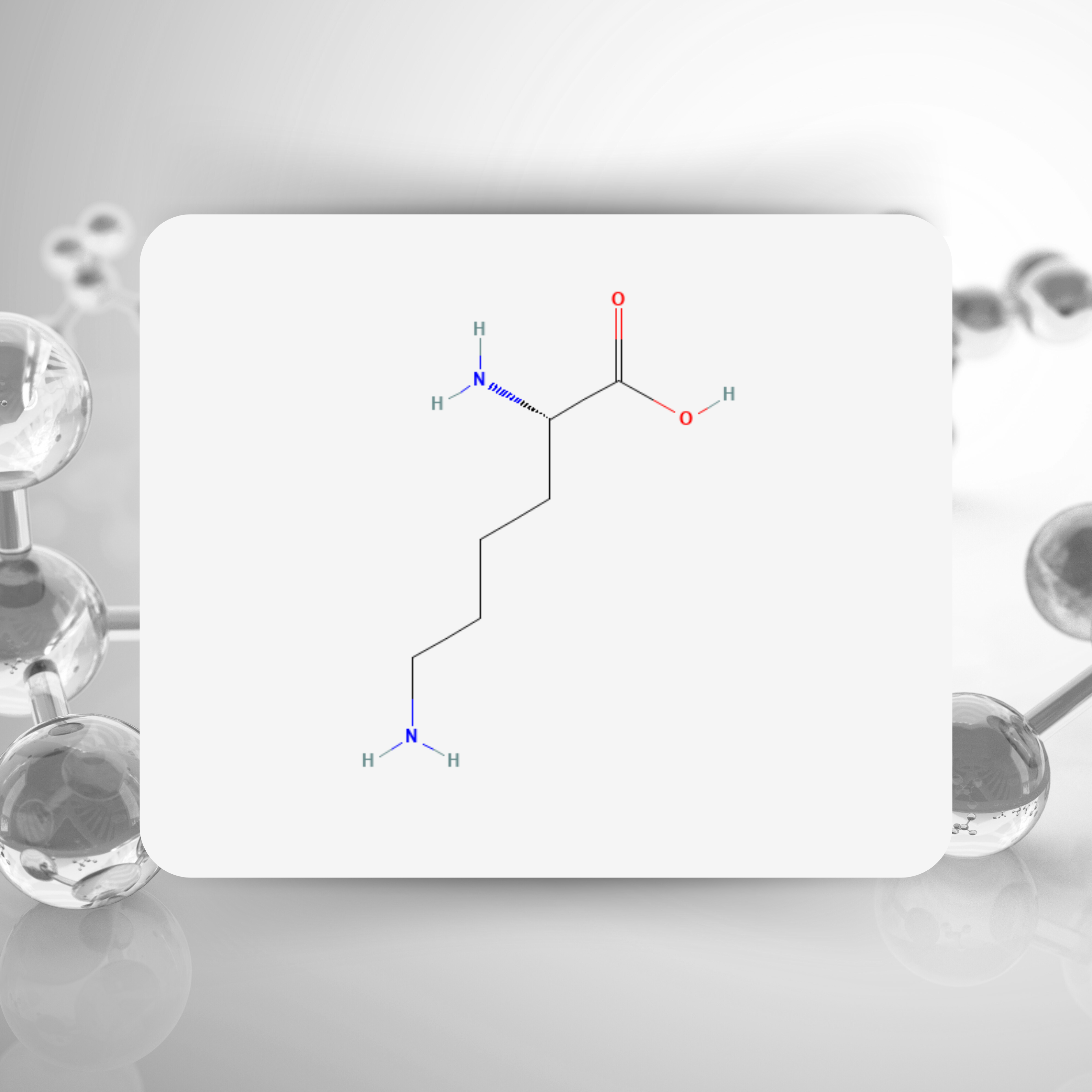 Lysine