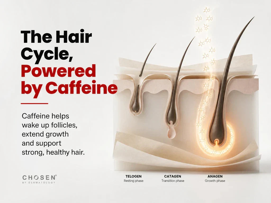 How Caffeine Helps Fight Hair Fall at Every Stage of the Hair Cycle