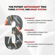 WAH-TOR® plant powered collagen builder