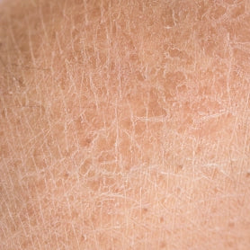 Science-First Skin &amp; Hair Care, Designed for Longevity
