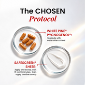 SAFESCREEN® SHEER + White Pine® Pycnogenol