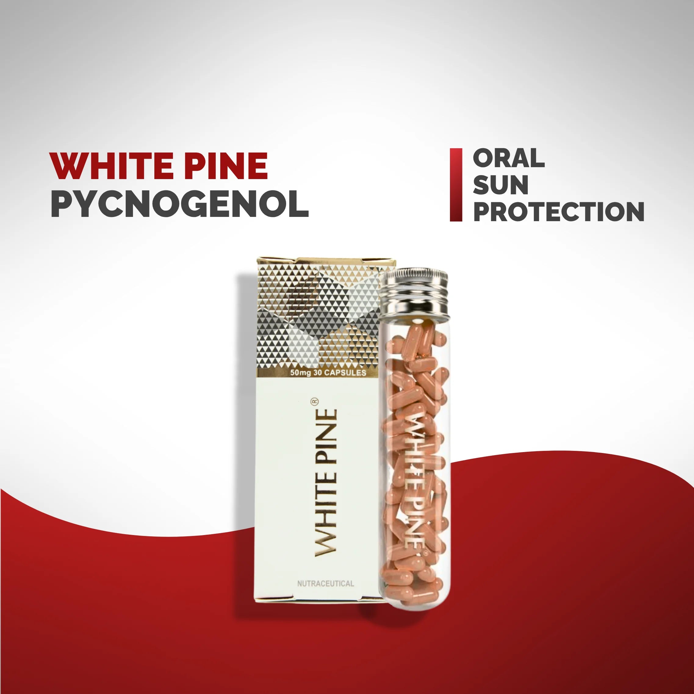 White-Pine-Pycnogenol-Chosen.webp