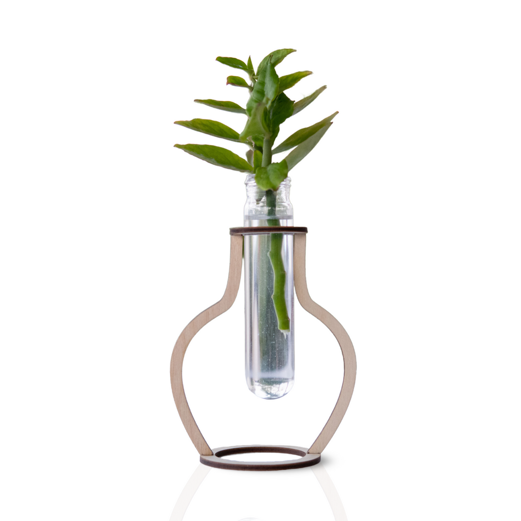 ZOLA Pedestal Plant Holder - Redeem for 400 Zola Points